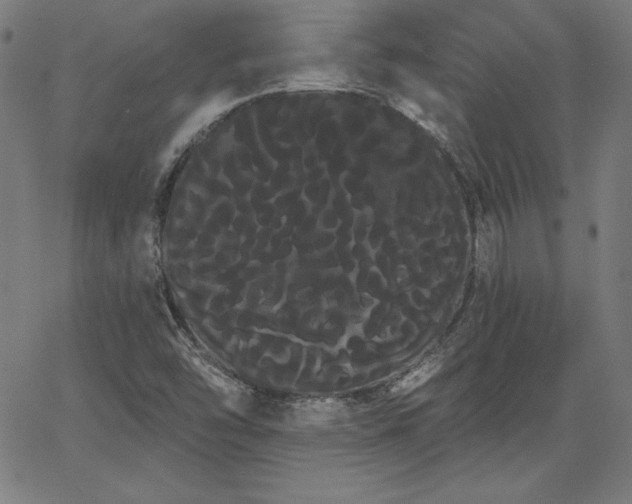 X0000066121454200603101223