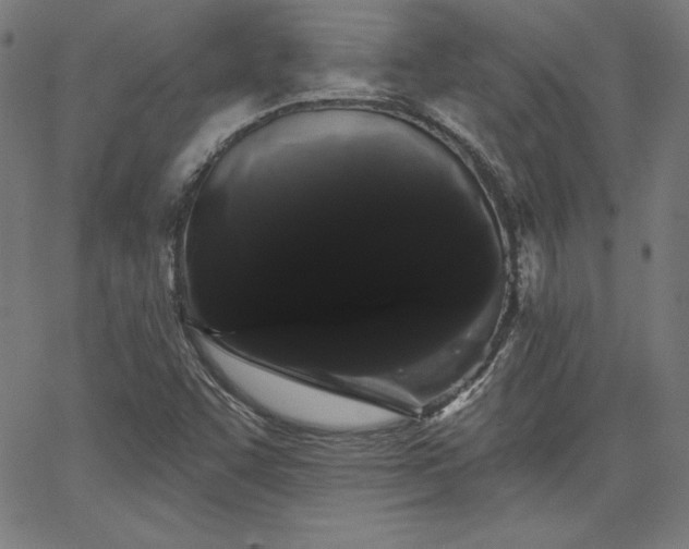 X0000066121455200603101223