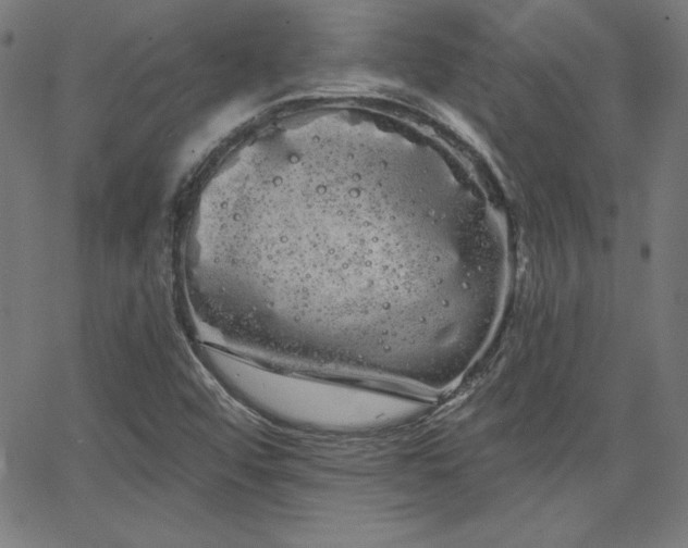 X0000066121456200603101223