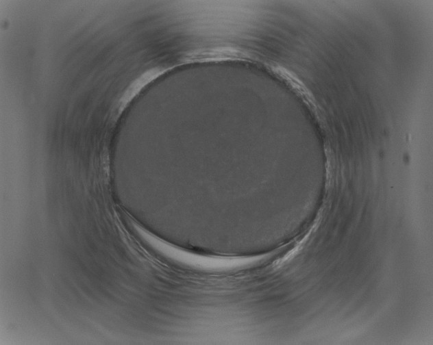 X0000066121457200603101223