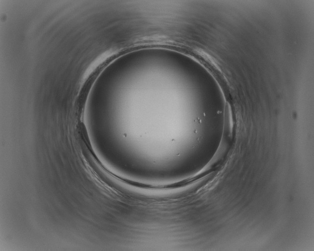 X0000066121458200603101223