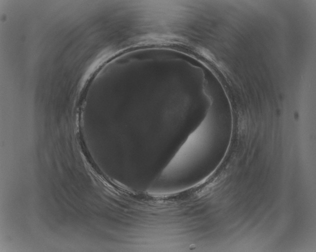 X0000066121459200603101223