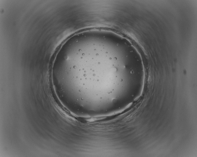 X0000066121460200603101223