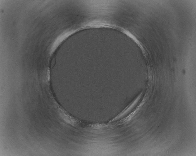 X0000066121461200603101223