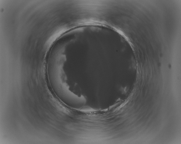 X0000066121463200603101223