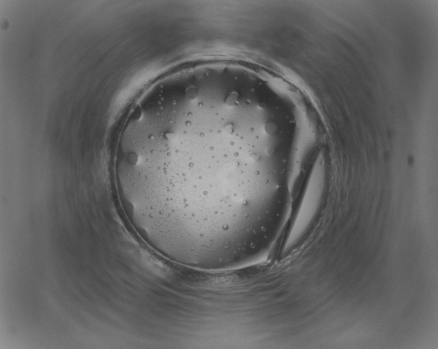 X0000066121464200603101223