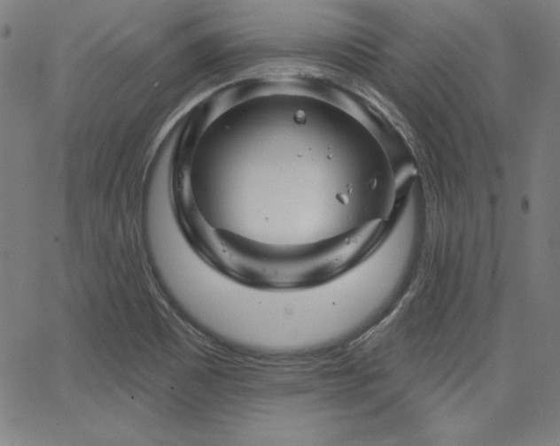 X0000066121465200603101223