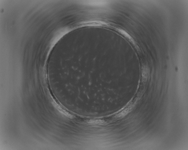 X0000066121466200603101223