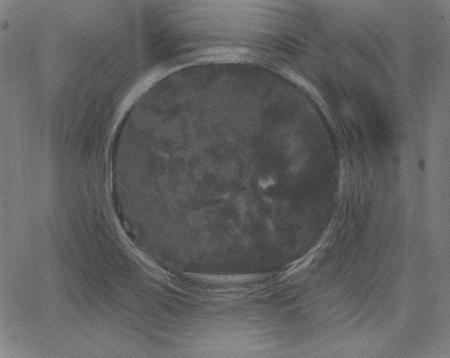 X0000066121467200603101223