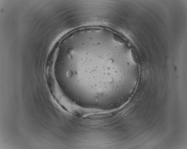 X0000066121468200603101223