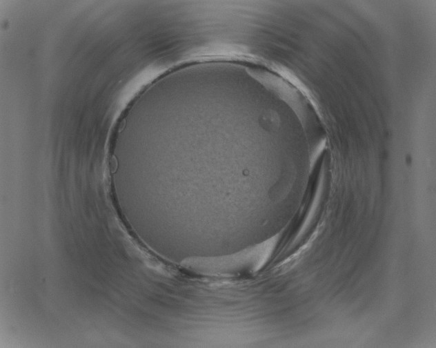 X0000066121469200603101223