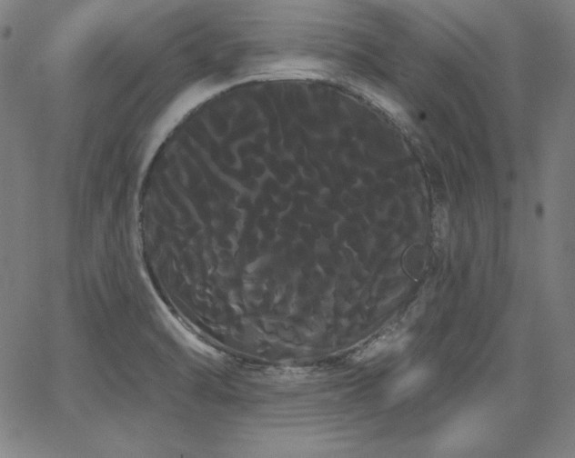 X0000066121470200603101223