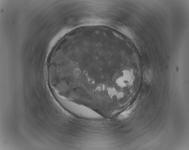 X0000066121472200603101223