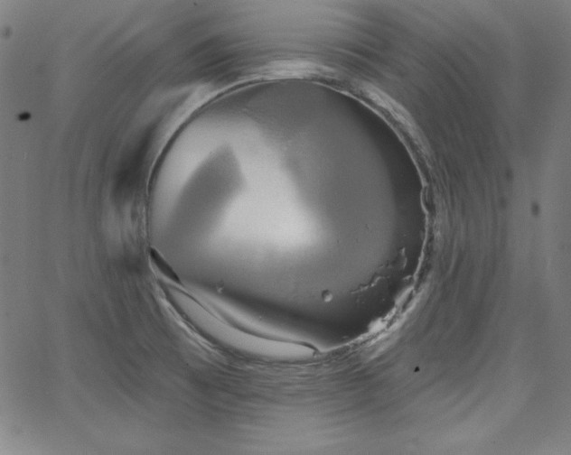 X0000066121473200603101223