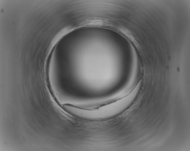 X0000066121475200603101223