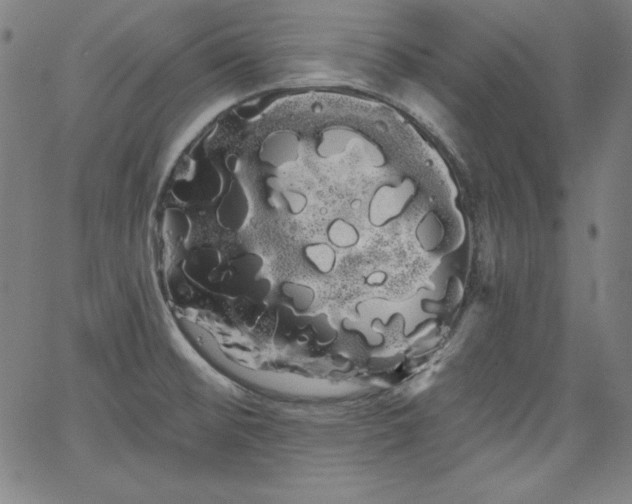 X0000066121476200603101223