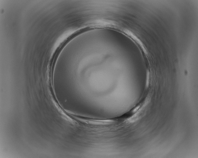 X0000066121477200603101223