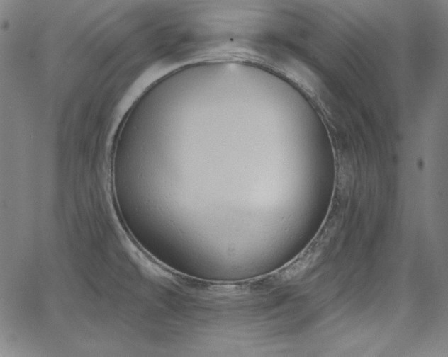 X0000066121478200603101223