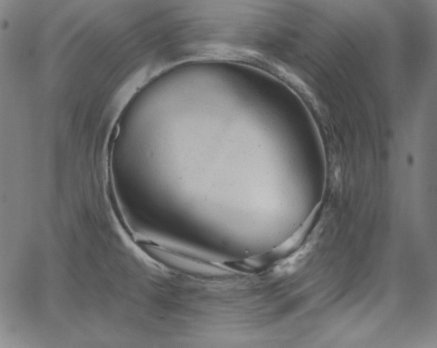 X0000066121479200603101223