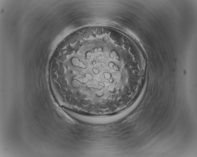 X0000066121480200603101223