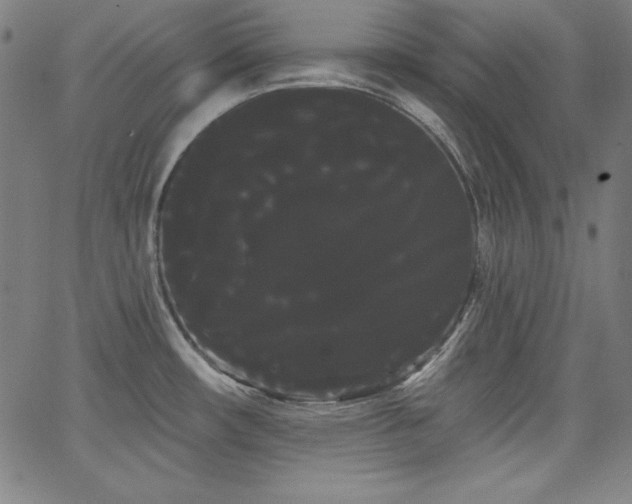 X0000066121482200603101223