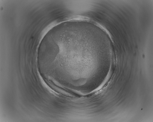 X0000066121483200603101223