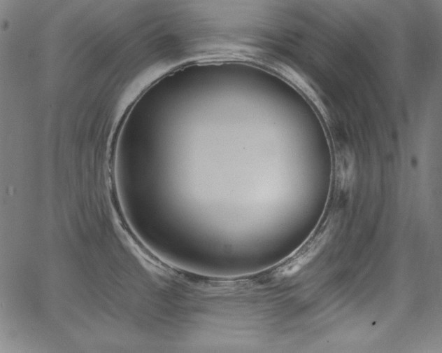 X0000066121485200603101223