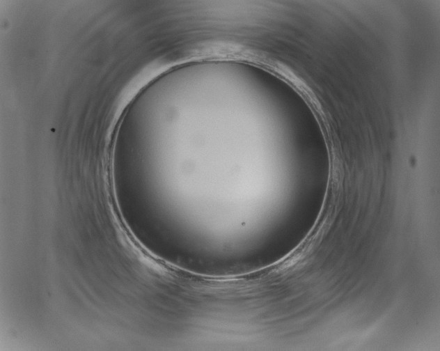 X0000066121486200603101223