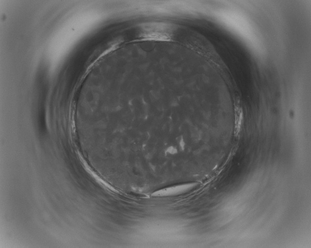 X0000066121487200603101223