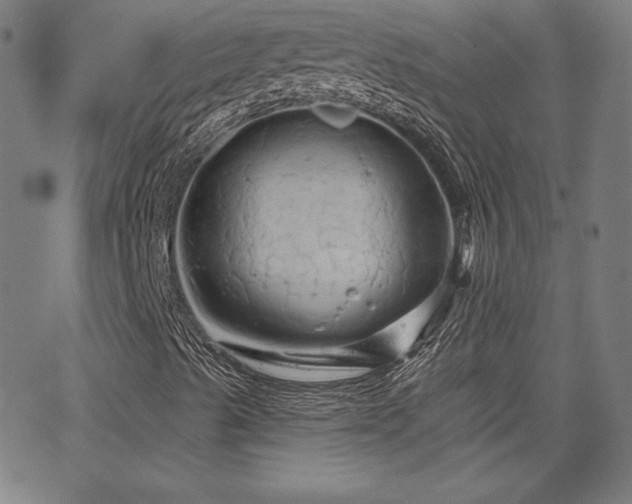 X0000066121489200603101222