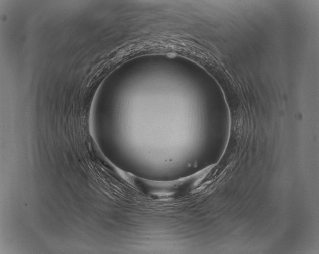 X0000066121490200603101222