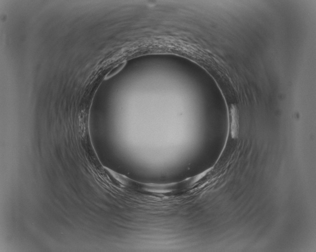 X0000066121491200603101222