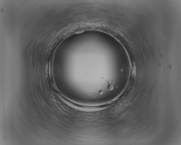 X0000066121492200603101222