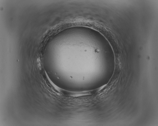 X0000066121493200603101222