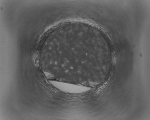 X0000066121494200603101222