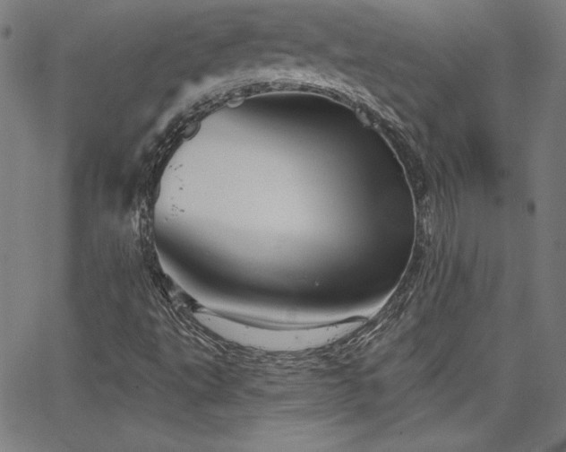 X0000066121495200603101222