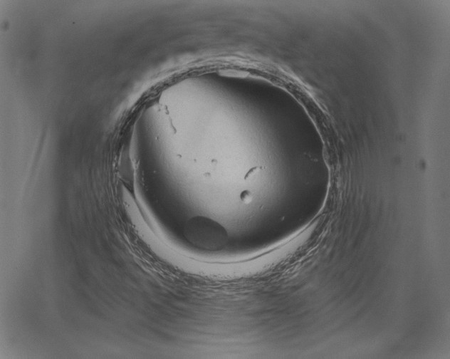 X0000066121496200603101222