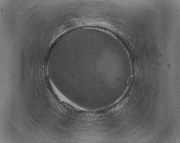 X0000066121497200603101222