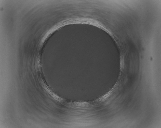 X0000066121498200603101222