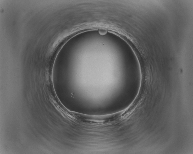 X0000066121499200603101222