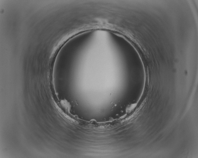 X0000066121500200603101222