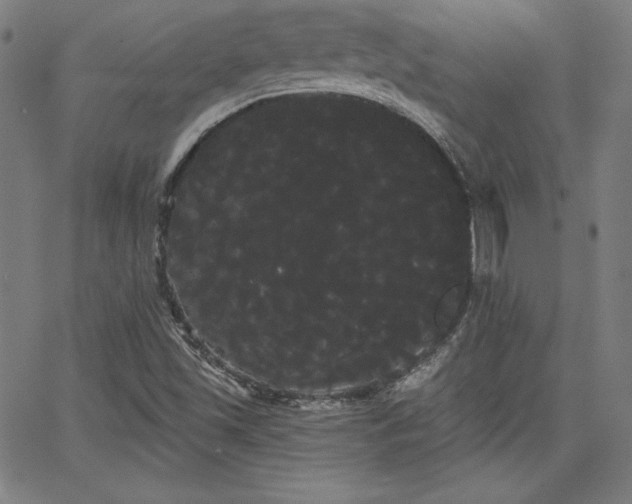 X0000066121501200603101222