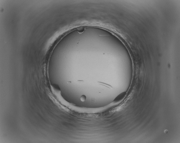 X0000066121503200603101222