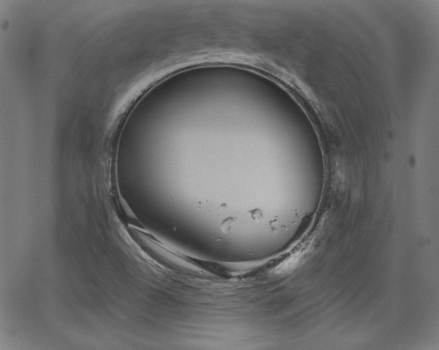 X0000066121504200603101222