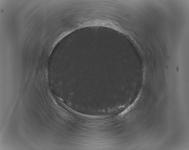 X0000066121505200603101222