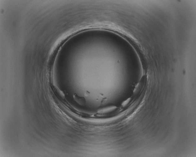 X0000066121506200603101222