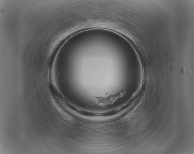 X0000066121507200603101222