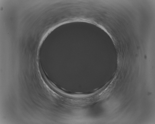 X0000066121508200603101222