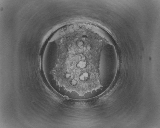 X0000066121509200603101222