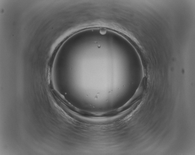 X0000066121510200603101222